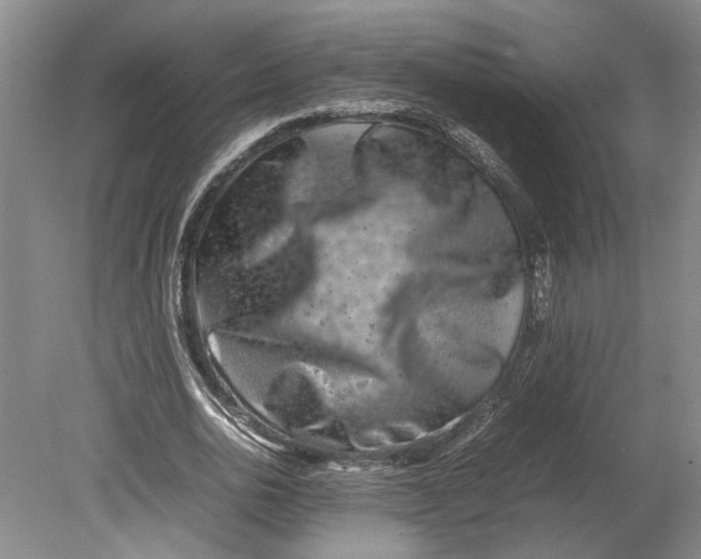 X0000080750726200701051209