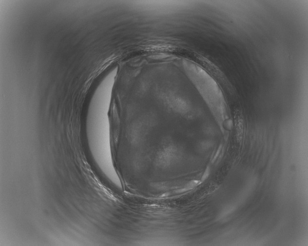 X0000080750729200701051209