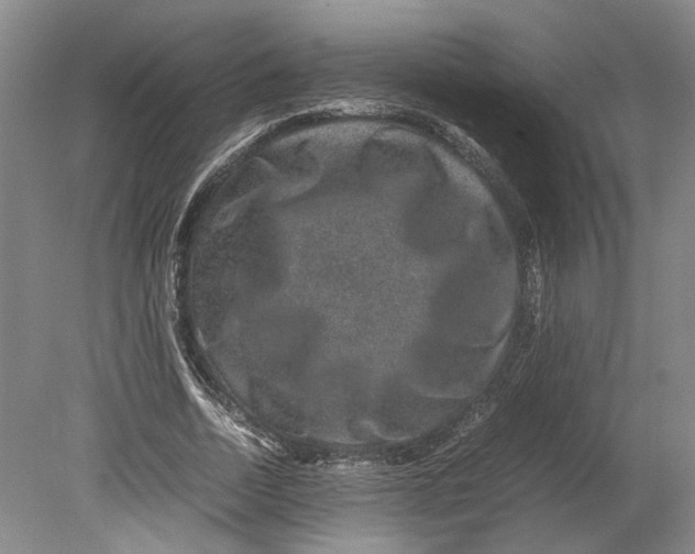 X0000080750730200701051209