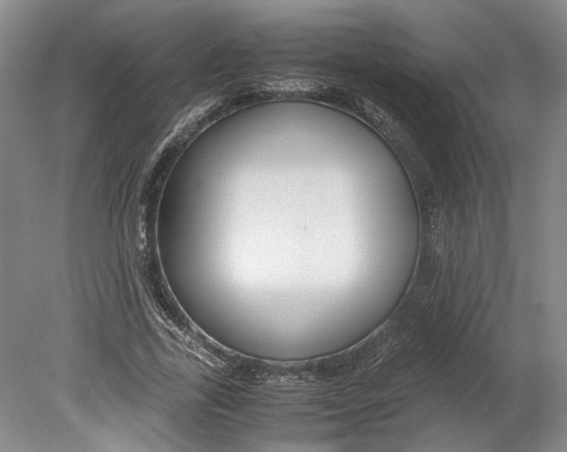 X0000080750731200701051210