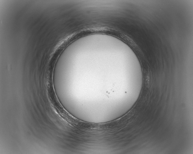 X0000080750732200701051210