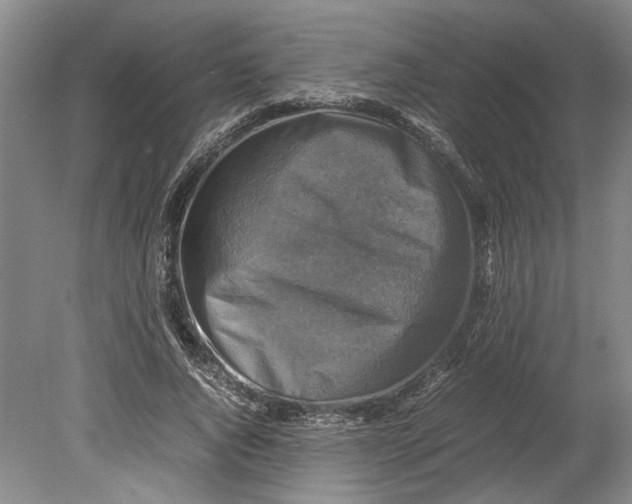 X0000080750736200701051210
