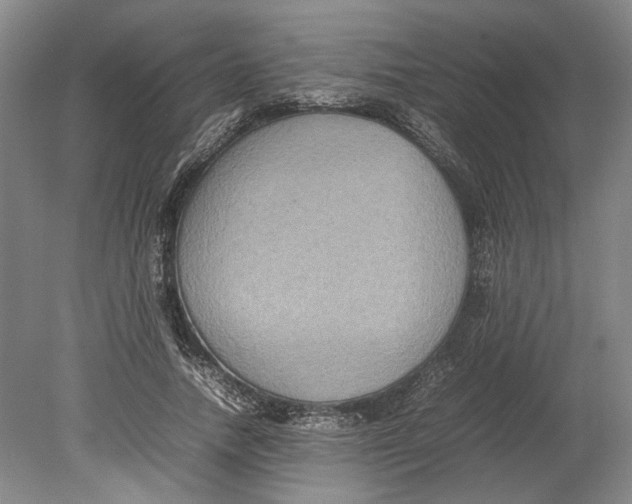 X0000080750738200701051210