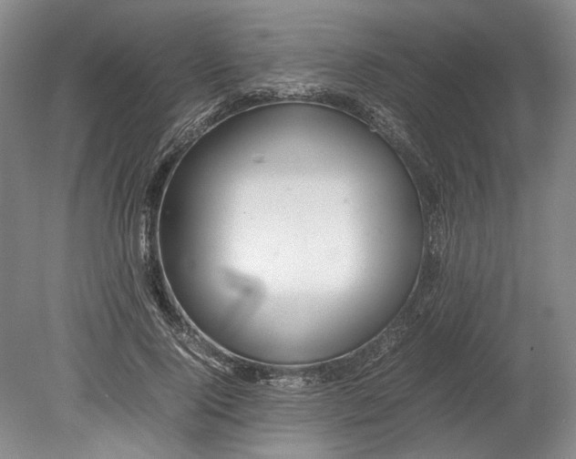 X0000080750740200701051210
