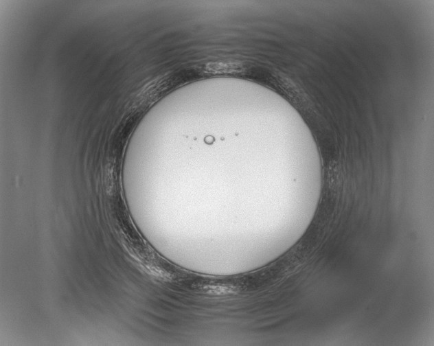 X0000080750741200701051210