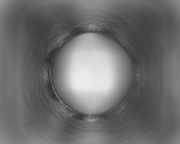X0000080750746200701051210
