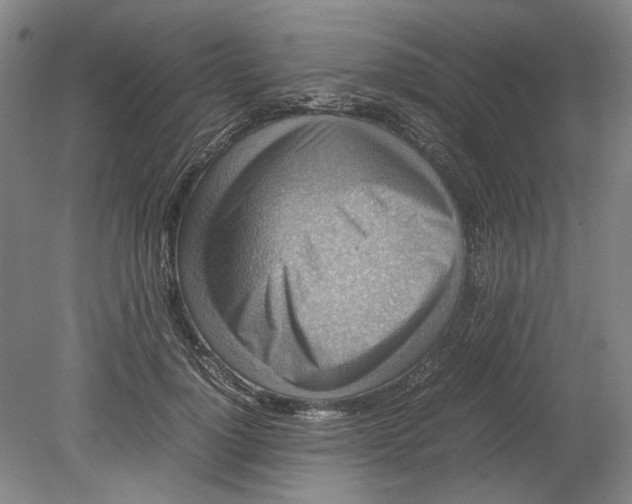 X0000080750748200701051210
