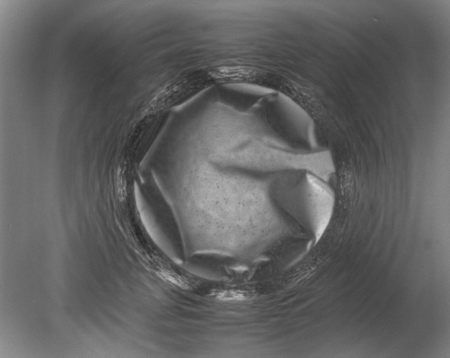 X0000080750751200701051210
