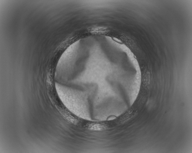 X0000080750755200701051210