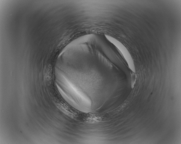 X0000080750760200701051210