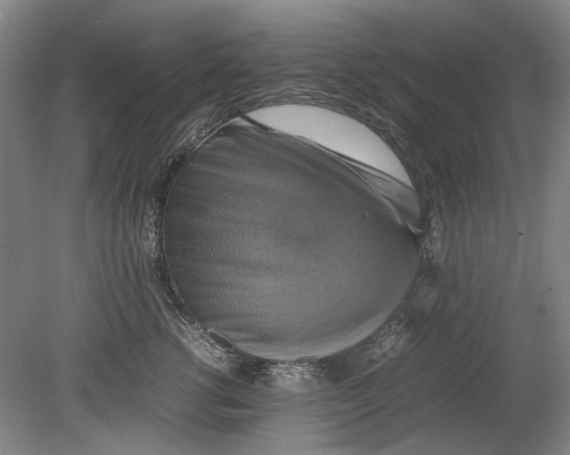 X0000080750762200701051210