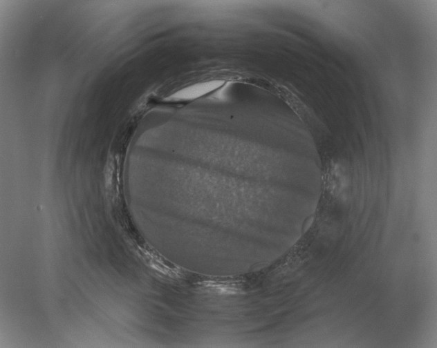X0000080750763200701051210