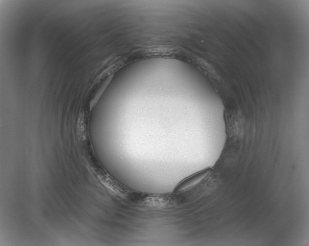 X0000080750764200701051210