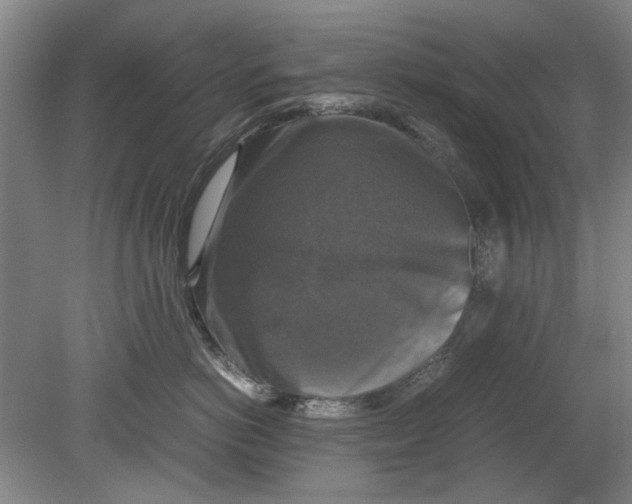 X0000080750766200701051210