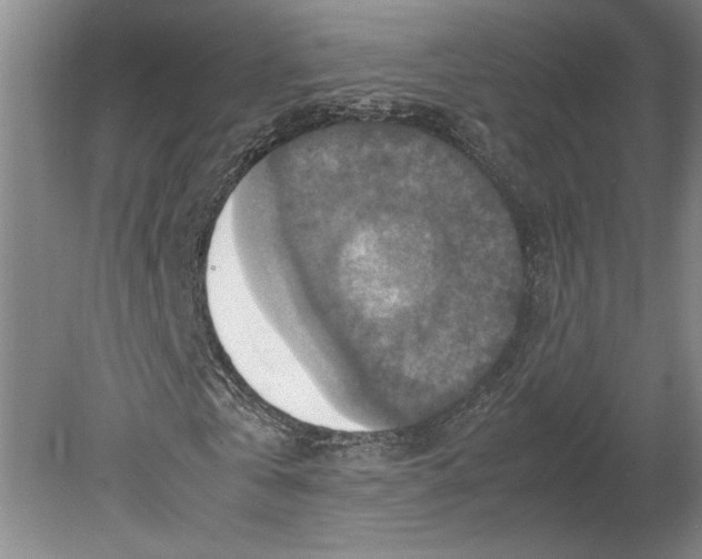 X0000080750769200701051209
