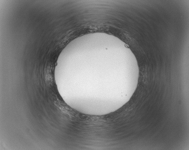 X0000080750770200701051209