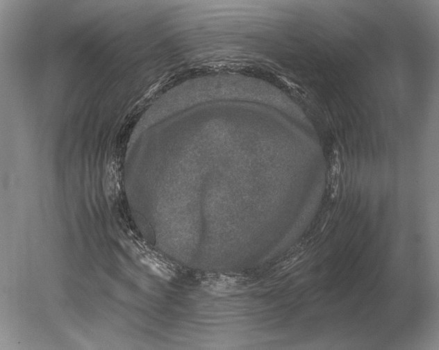 X0000080750772200701051209