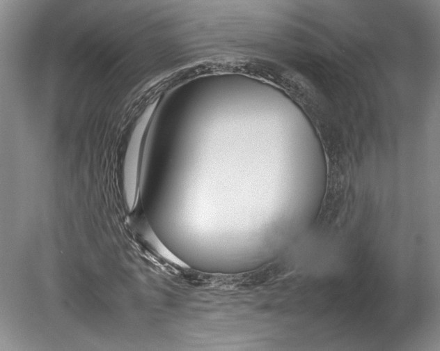X0000080750773200701051209