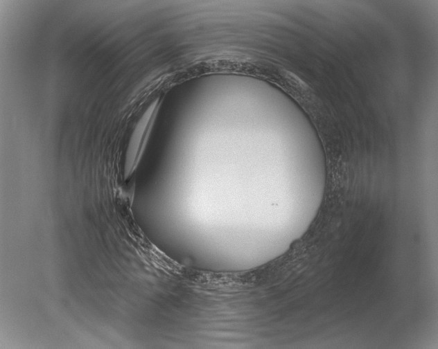 X0000080750774200701051209