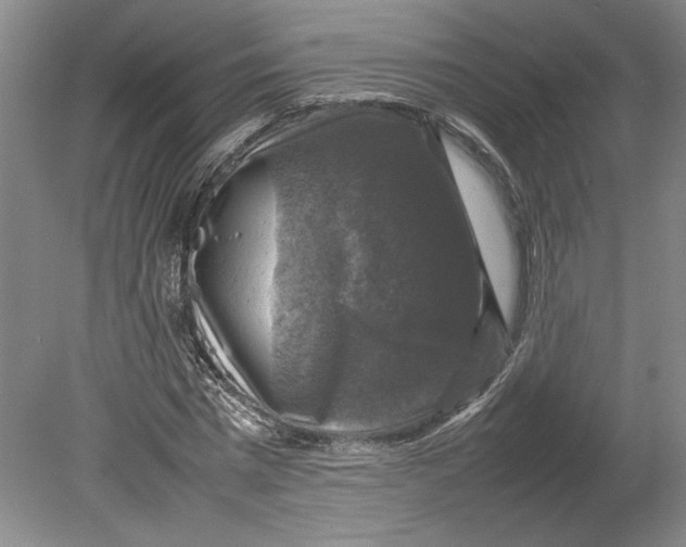 X0000080750777200701051209