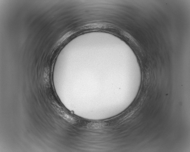 X0000080750778200701051209