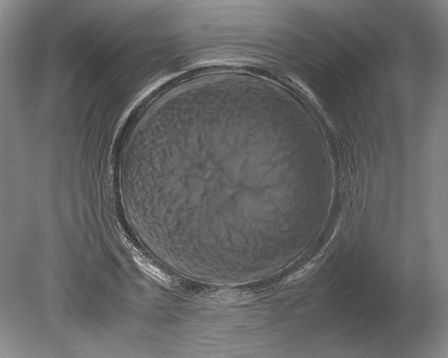 X0000080750779200701051209