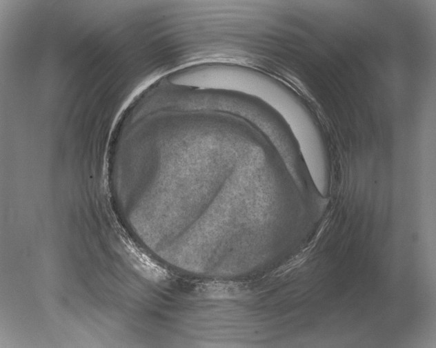 X0000080750780200701051209