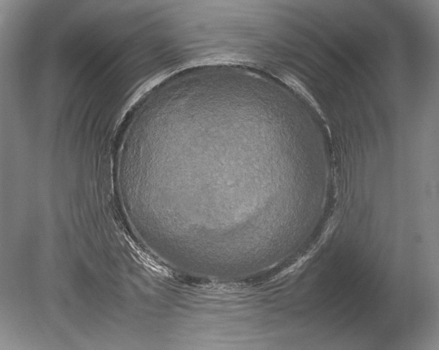 X0000080750781200701051209