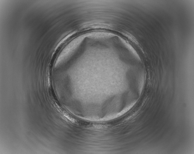 X0000080750782200701051209