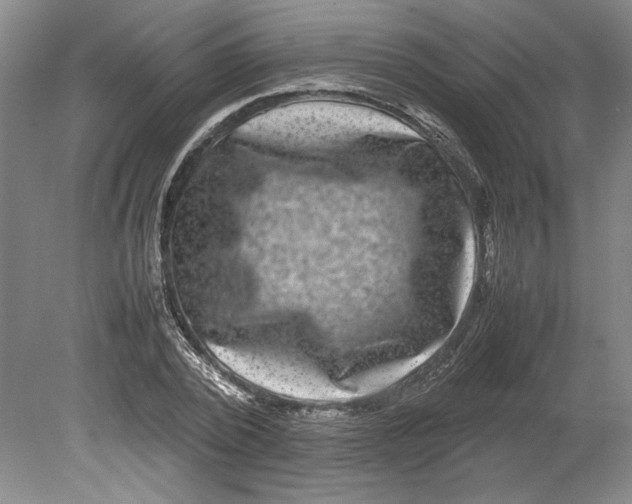 X0000080750784200701051209