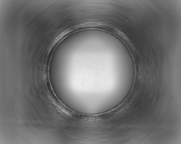X0000080750786200701051209