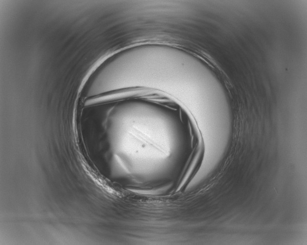 X0000080750788200701051209