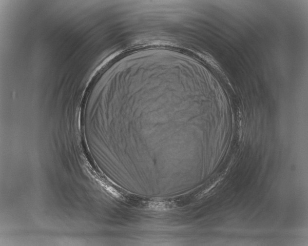 X0000080750790200701051209