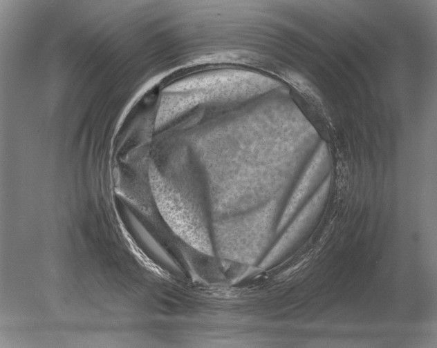 X0000080750792200701051209