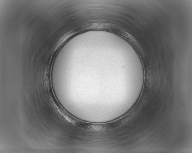 X0000080750794200701051209
