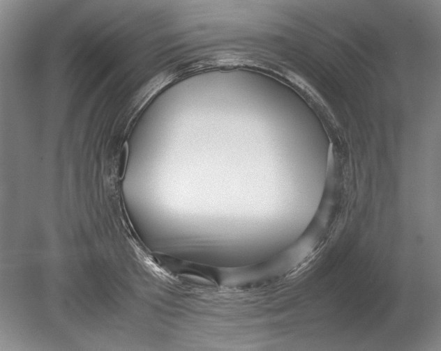 X0000080750801200701051209