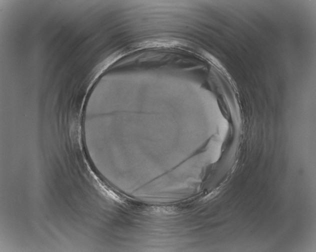 X0000080750802200701051209