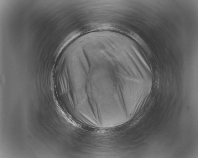 X0000080750806200701051209