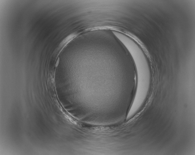 X0000080750809200701051209