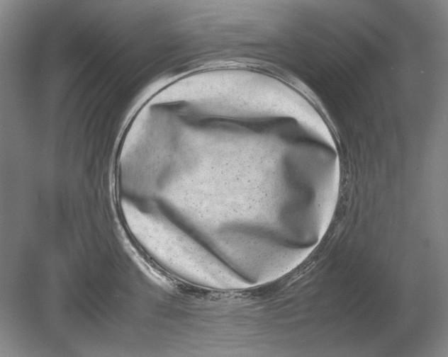 X0000080750811200701051209