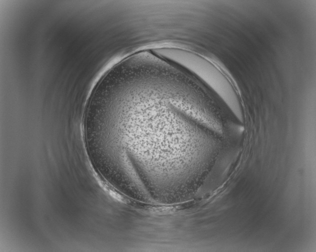 X0000080750813200701051209