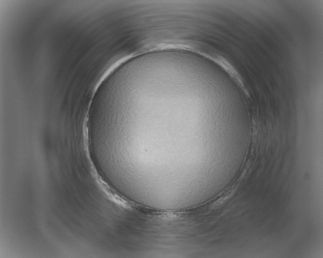 X0000080750814200701051209
