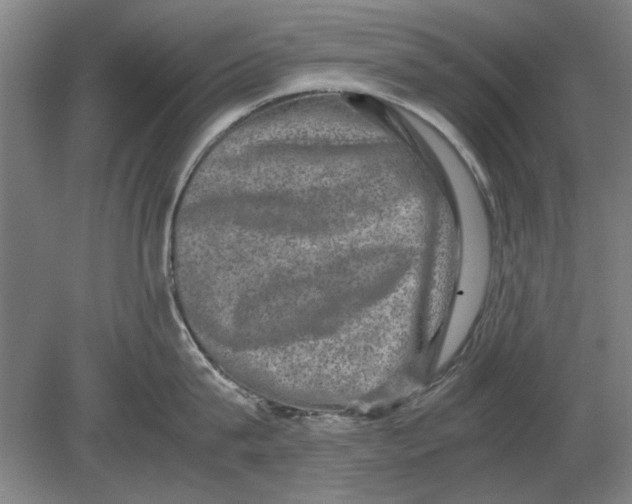 X0000080750815200701051209