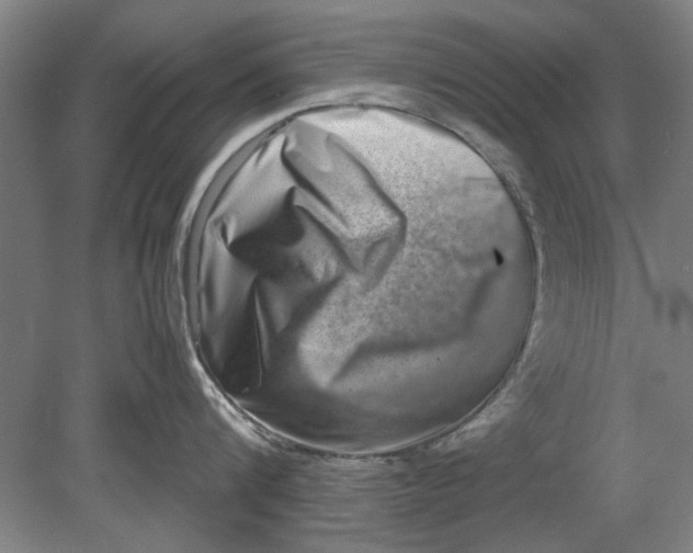 X0000080750816200701051209