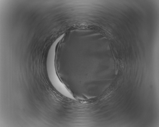 X0000080750818200701051208