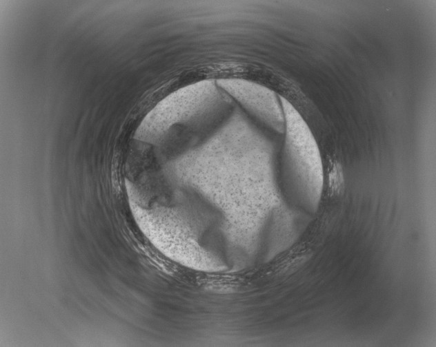 X0000080750819200701051208