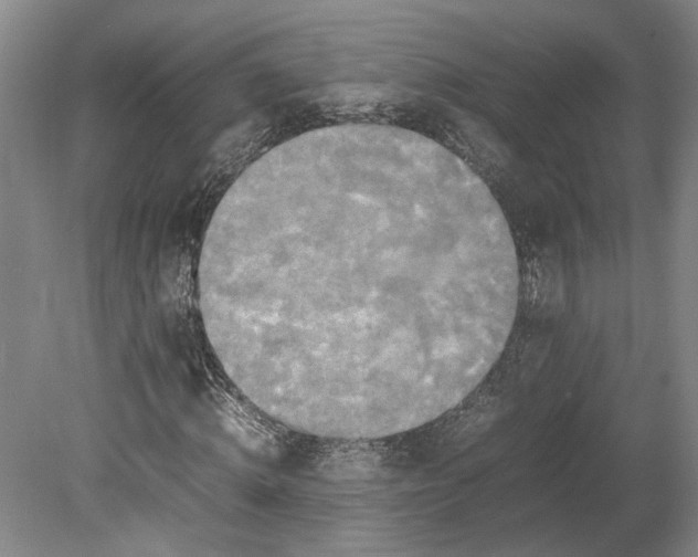 X0000080750820200701051208