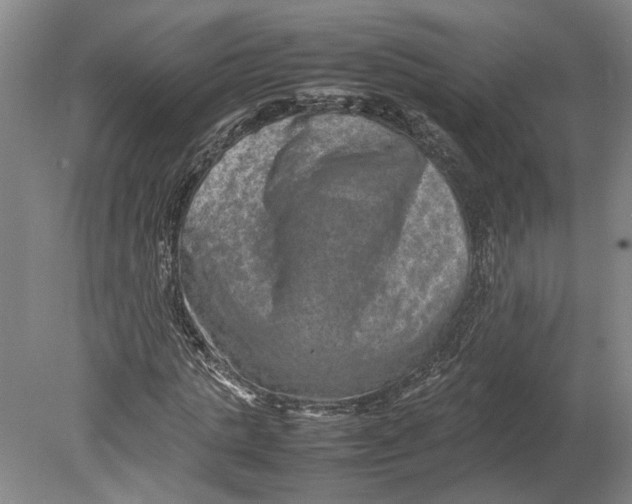 X0000080750821200701051208