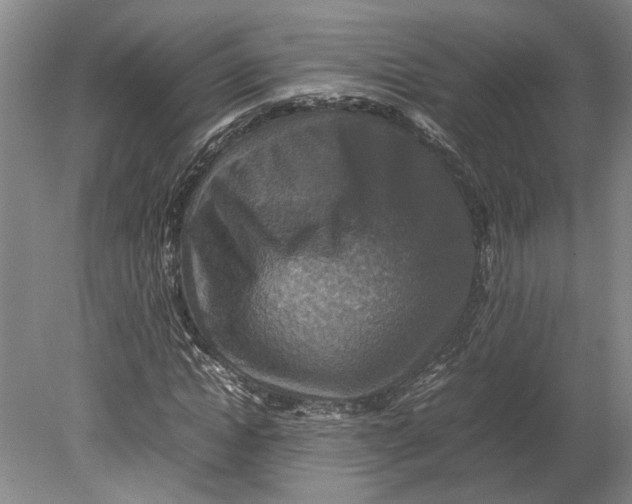 X0000080750822200701051208
