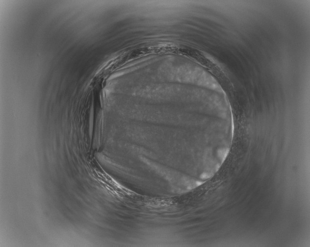 X0000080750823200701051208